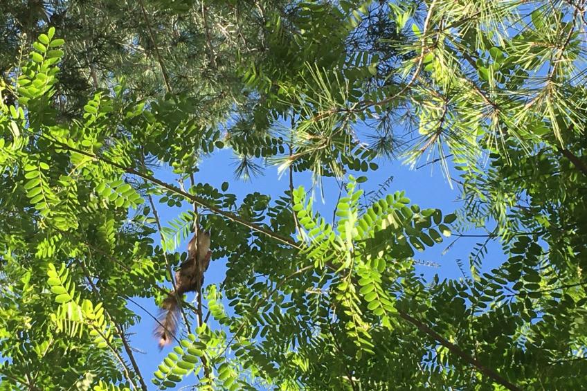 "Casa Encina" mit Whirlpool - foto 19