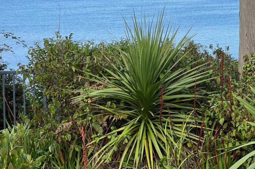 VILLA Kergoz - foto 9