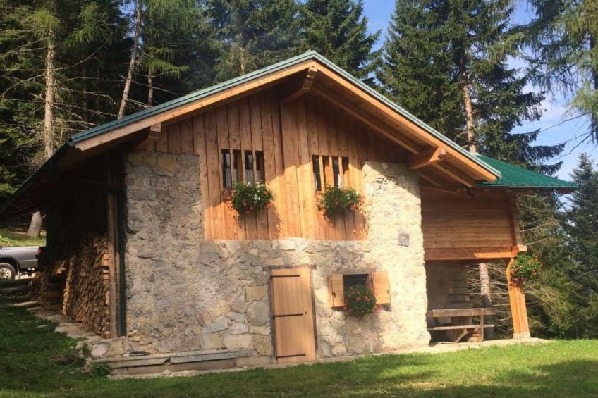 mit Sauna in Pieve Di Bono - foto 8