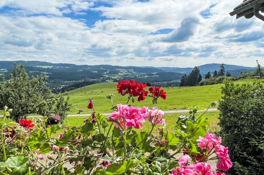 Mühlenmichelshäusle (HZT150) - foto 6