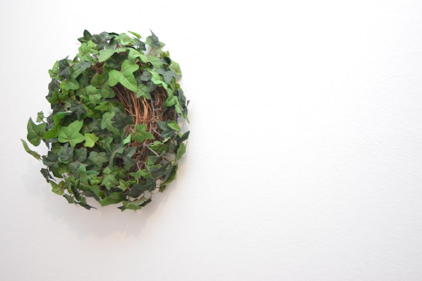 Wilzenberg - foto 18