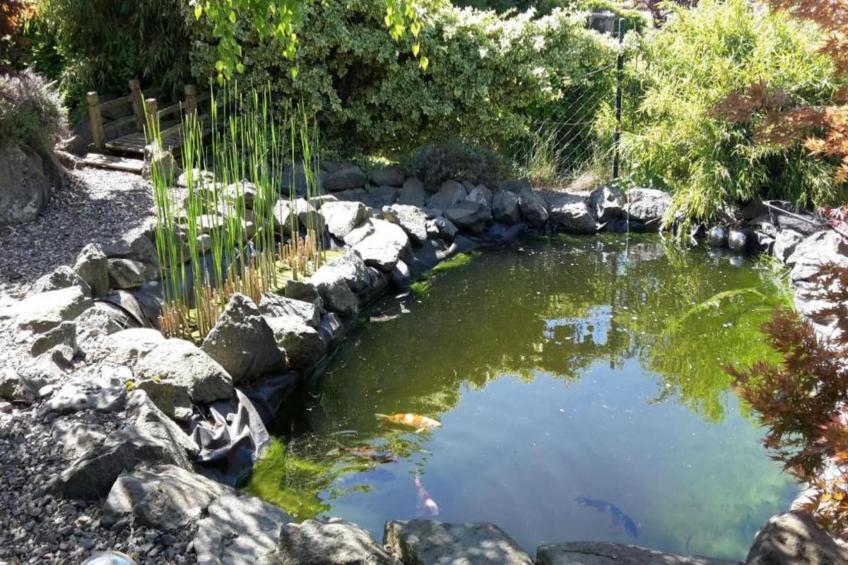 Ferienwohnung Frankenberg - foto 28