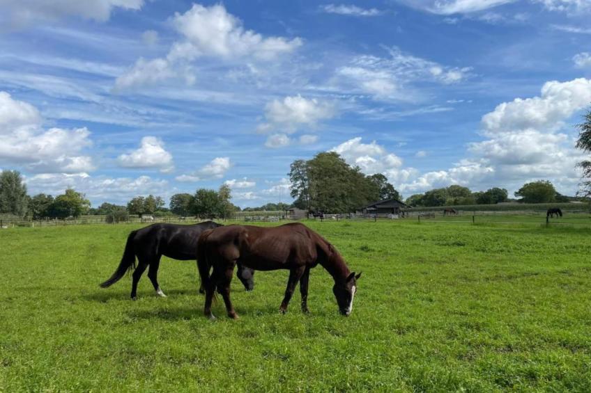 Vakantiecentrum 't Schuttenbelt 4 - foto 31