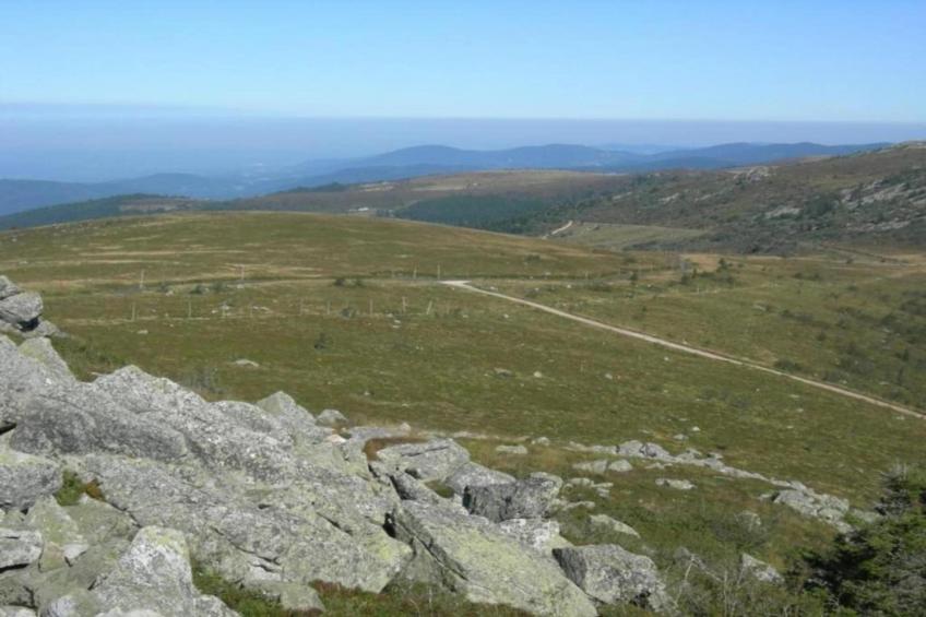 Goutte-Claire - foto 28