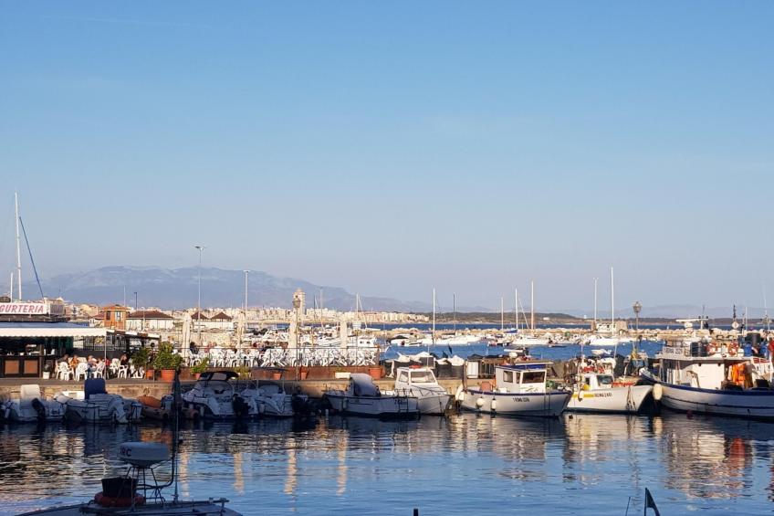 Oleandri Ferienhaus mit privatem Pool - foto 37