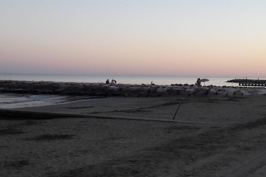 auf einem ummauerten Grundstück - foto 41