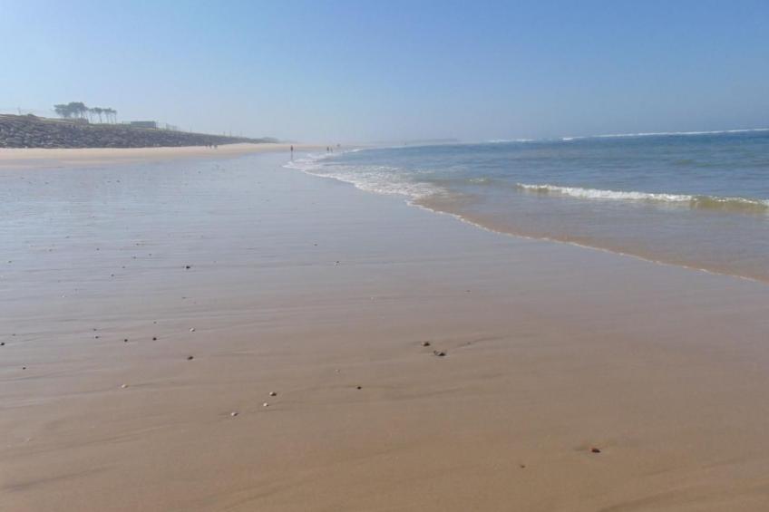 CASA  VERDE - foto 37