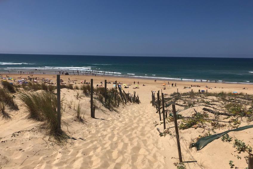 Schönes Appartment in ruhiger Lage in einer baumbestandenen Residenz mit beheiz - foto 29