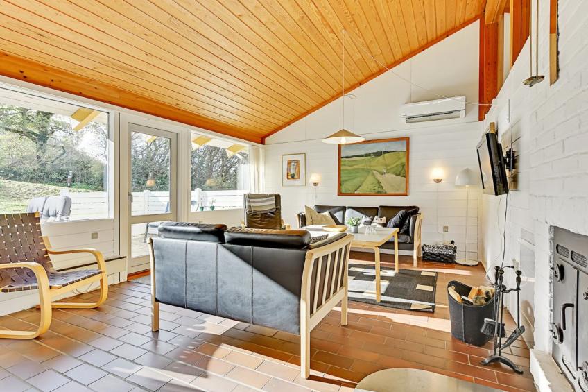 "Boris" - 500m from the sea in SE Jutland - foto 37