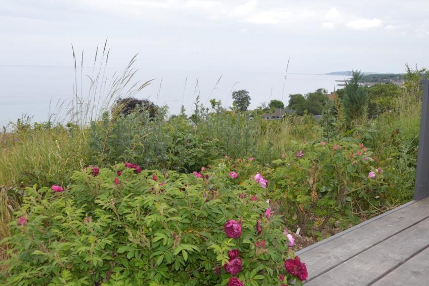 "Seetje" - 200m from the sea in Bornholm - foto 4