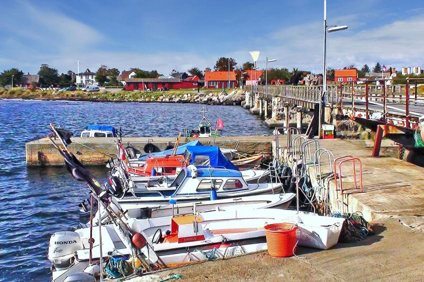 "Apelun" - 60m from the sea - foto 29