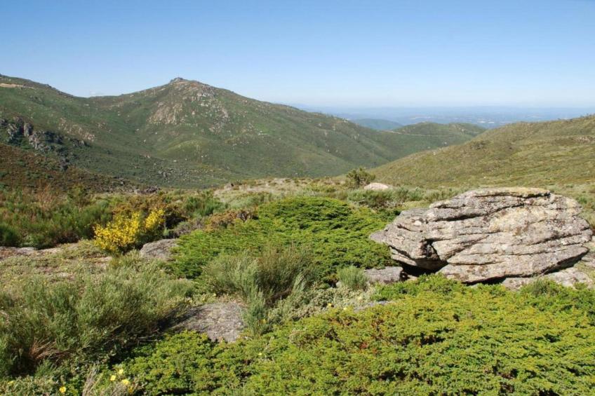 Casa Oliveirinha - foto 24