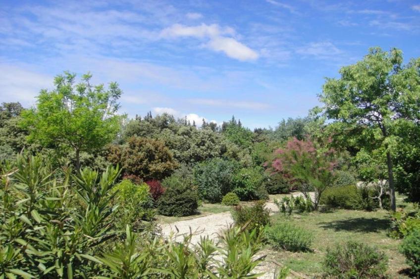 Entre Lubéron et Avignon - foto 42