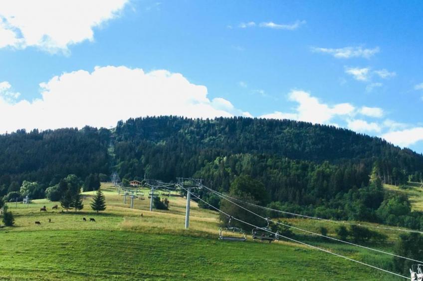 Les Portes de Megève 11 - foto 36