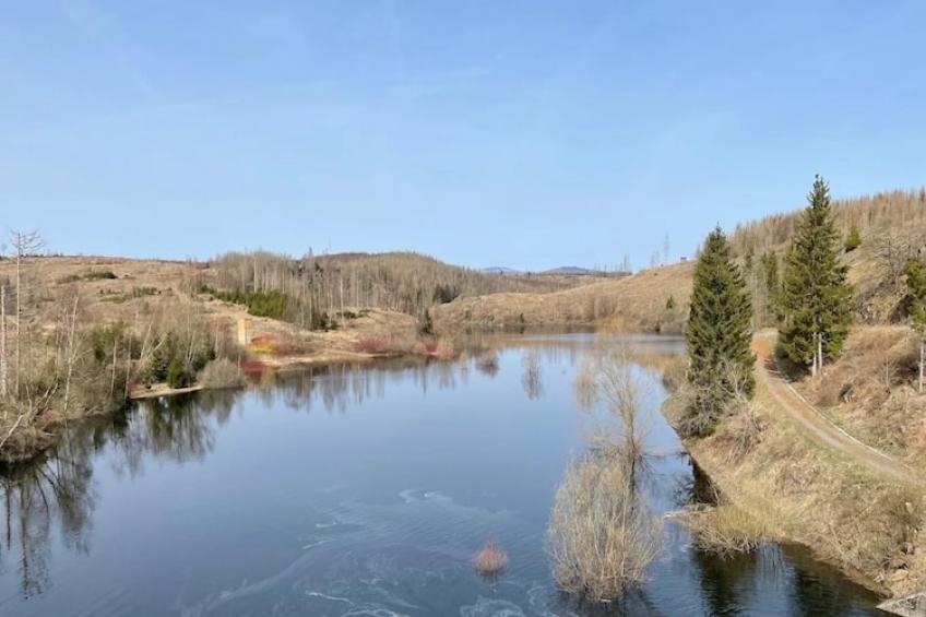 Ferienhaus in Hasselfelde - Haus 59 Blauvogel - foto 33