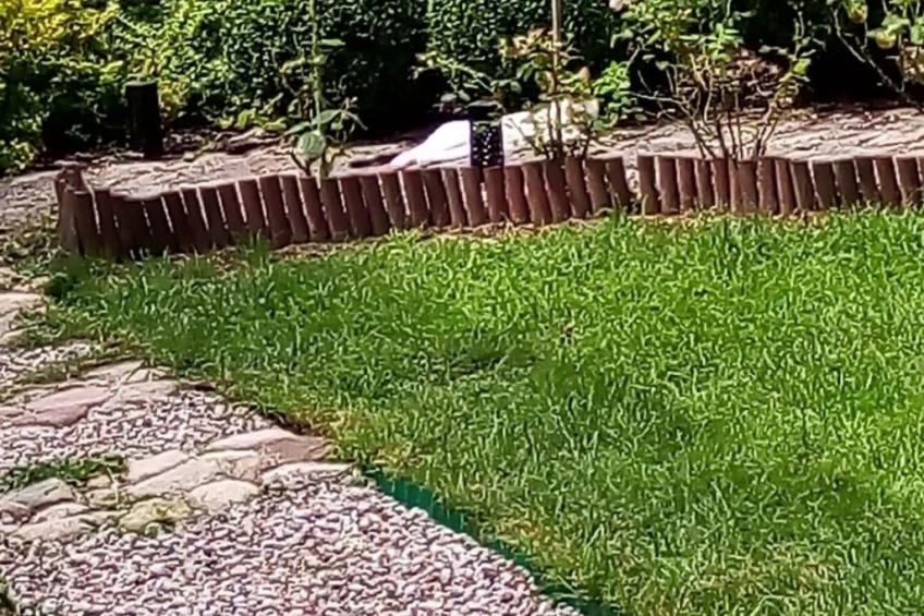 Ideal für Familien - Ruhe und Entspannung - foto 8