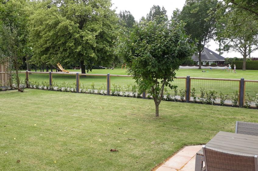 am Meer in Zeeland - foto 5