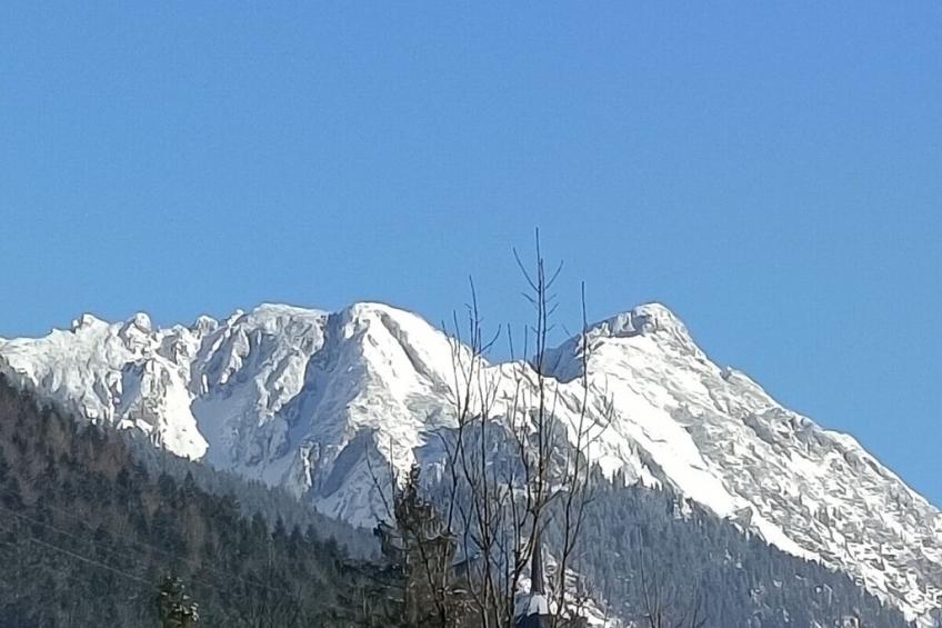 272912 - foto 39