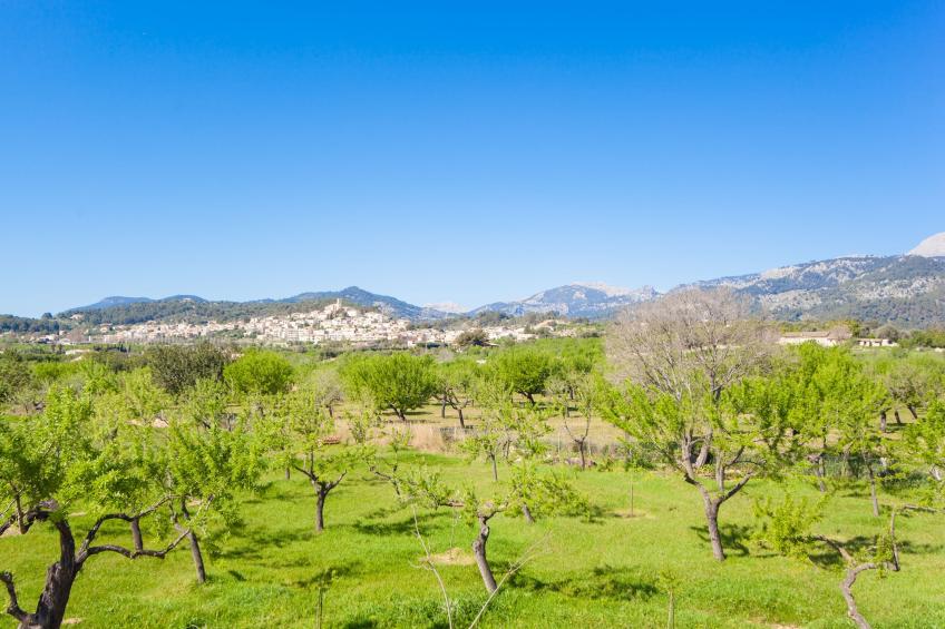 Ca Na Faustina - foto 21