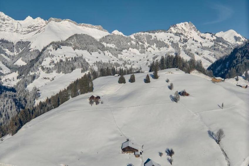 Chalet Bliss Spacious Six Bedrooms And Breathtaking Views - foto 25