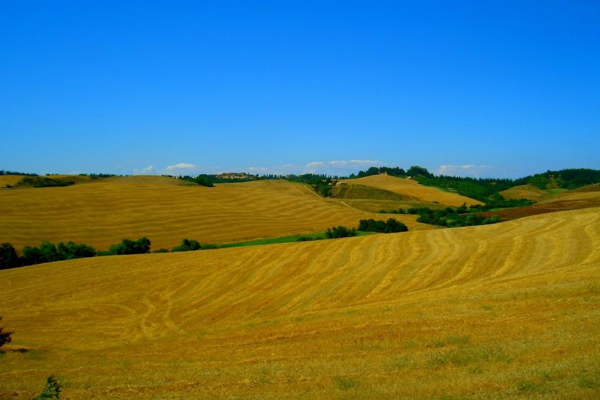 Peccioli - foto 20
