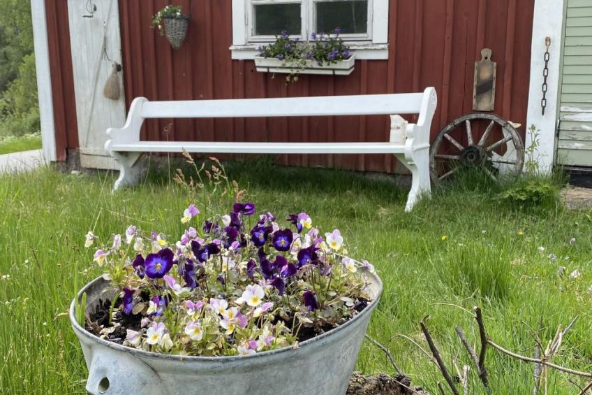 Skuggebo Gårdsjön - foto 4