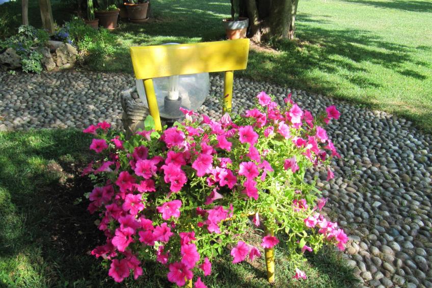 Wohnung mit Blick auf den Gardasee - foto 6