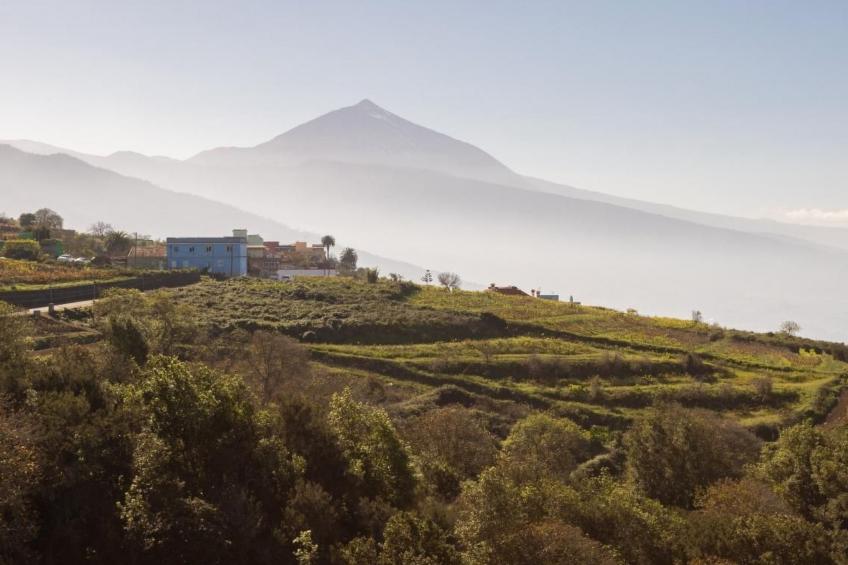 'Chic Escape Villa': Design mit Meerblick - foto 22