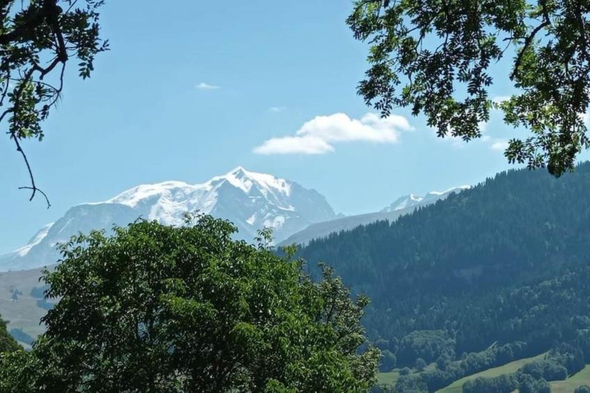 Les Portes de Megève 5 - foto 39