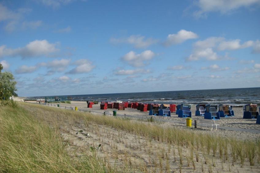 217697 - foto 24