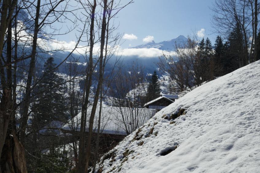 Chalet Colette - foto 36