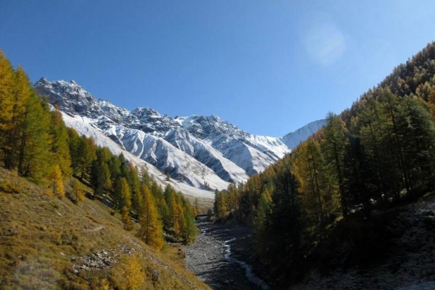 Chesa Robbi S-chanf - foto 5