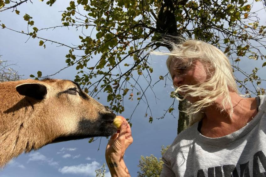 Kellerstöckl am veganen Bio-Lebenshof - Varm - the vegan Farm - foto 46