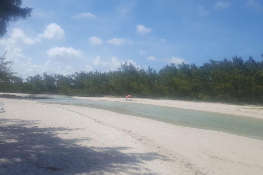 Riverside Ferienhaus 2 - foto 14