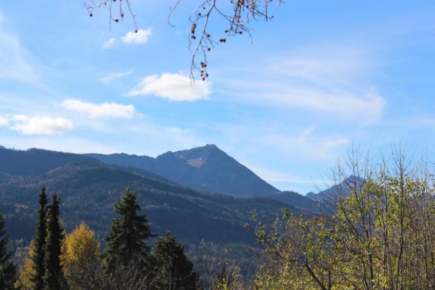 Ferienwohnung Crokus Siegsdorf - foto 18