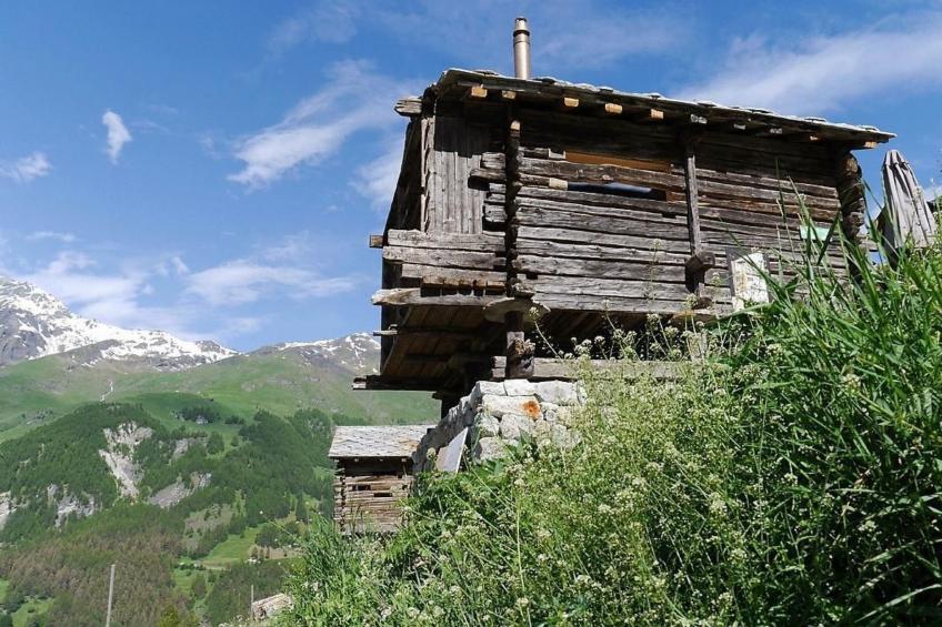 Mayen an Henri - foto 9