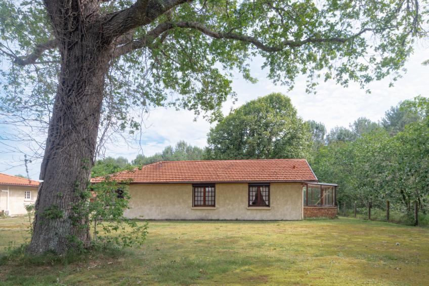 Maisouet - foto 16
