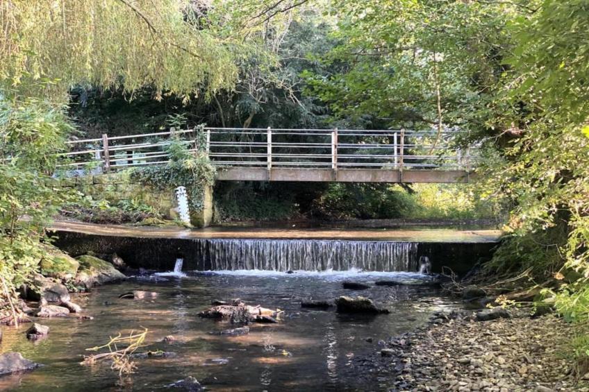 Netley Hall - Angelica - foto 23