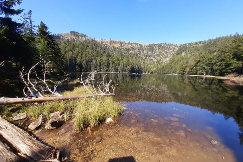 AnNo Wohlfühlplatzl - foto 24