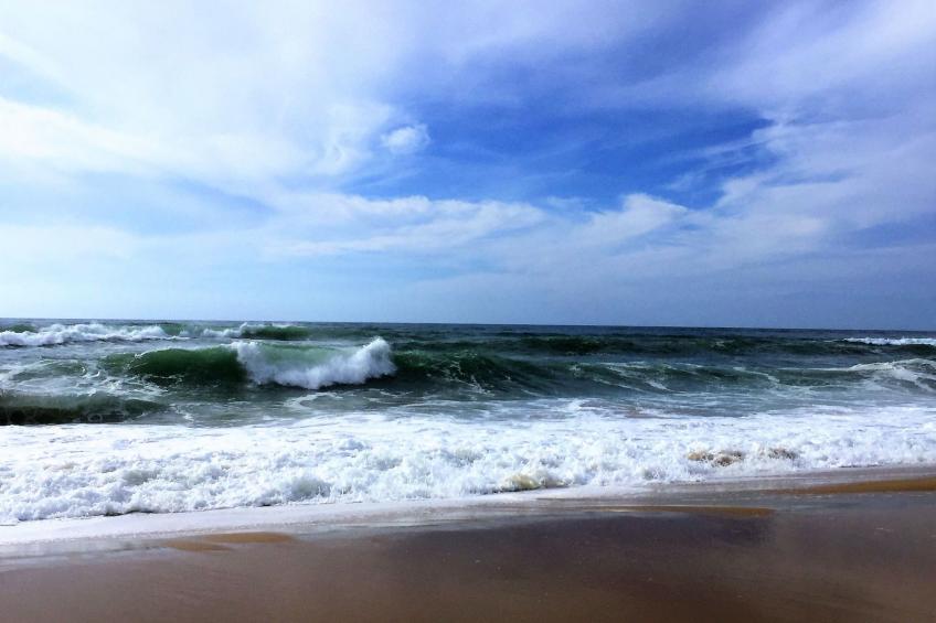 Pujols Petite - foto 17