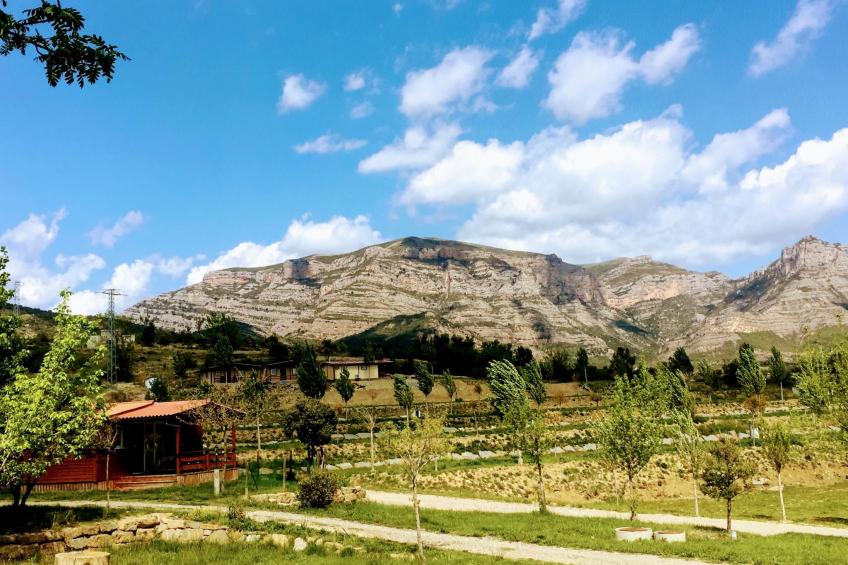 Gemütlicher Ferienbungalow Isabena - foto 15