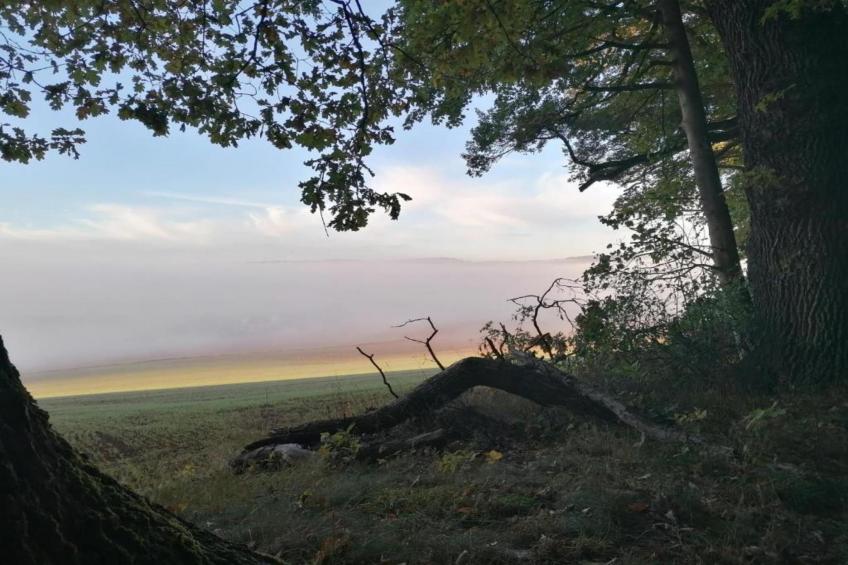 Im Weserbergland - foto 33