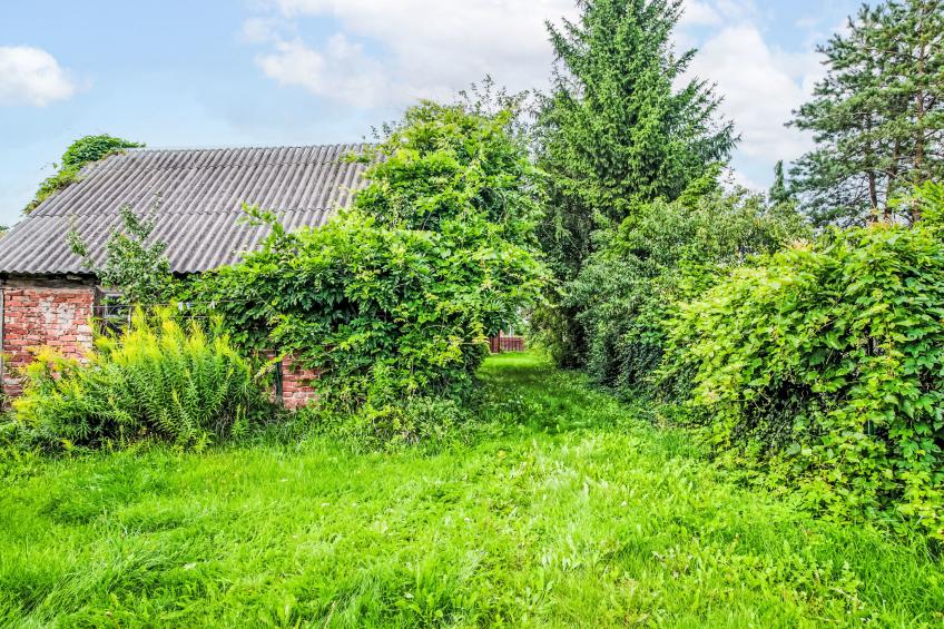 Waszkiewicza - foto 30