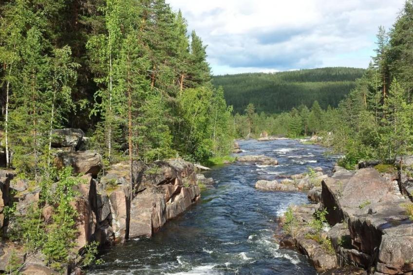 Villa Majringen - foto 29