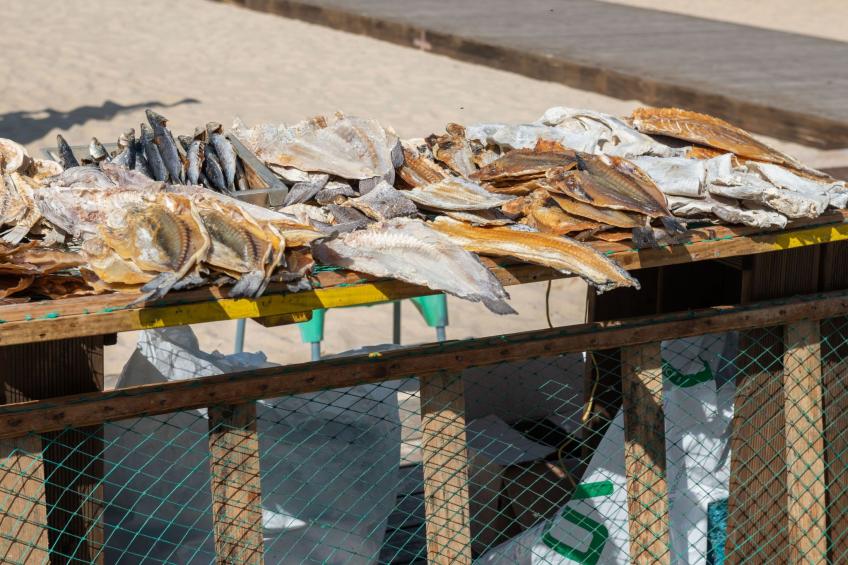 mit Blick auf das Wasser - foto 33