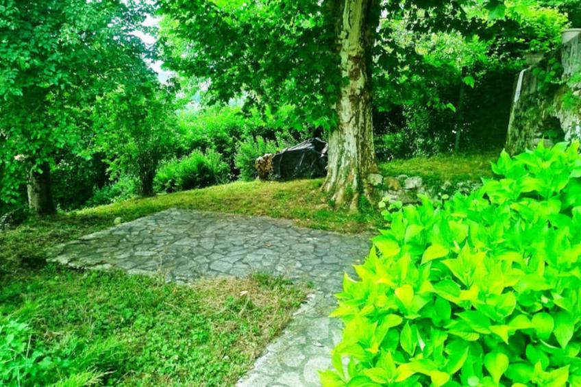 Maison De Charme Ancienne Entre Lacs Et Rhône - foto 35