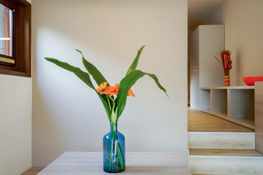 Residence Park Solemaremma (CST327) - foto 8