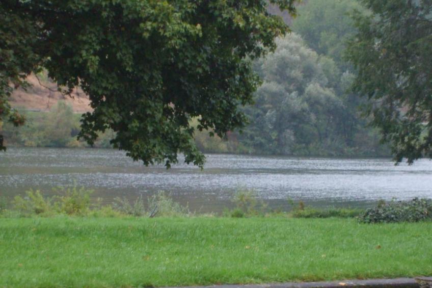 mit Garten und Parkplatz - foto 17