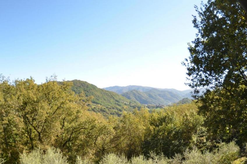 Gelsomino Piccolo - foto 31