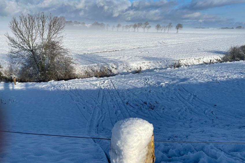 Deichstraße 101 - foto 20